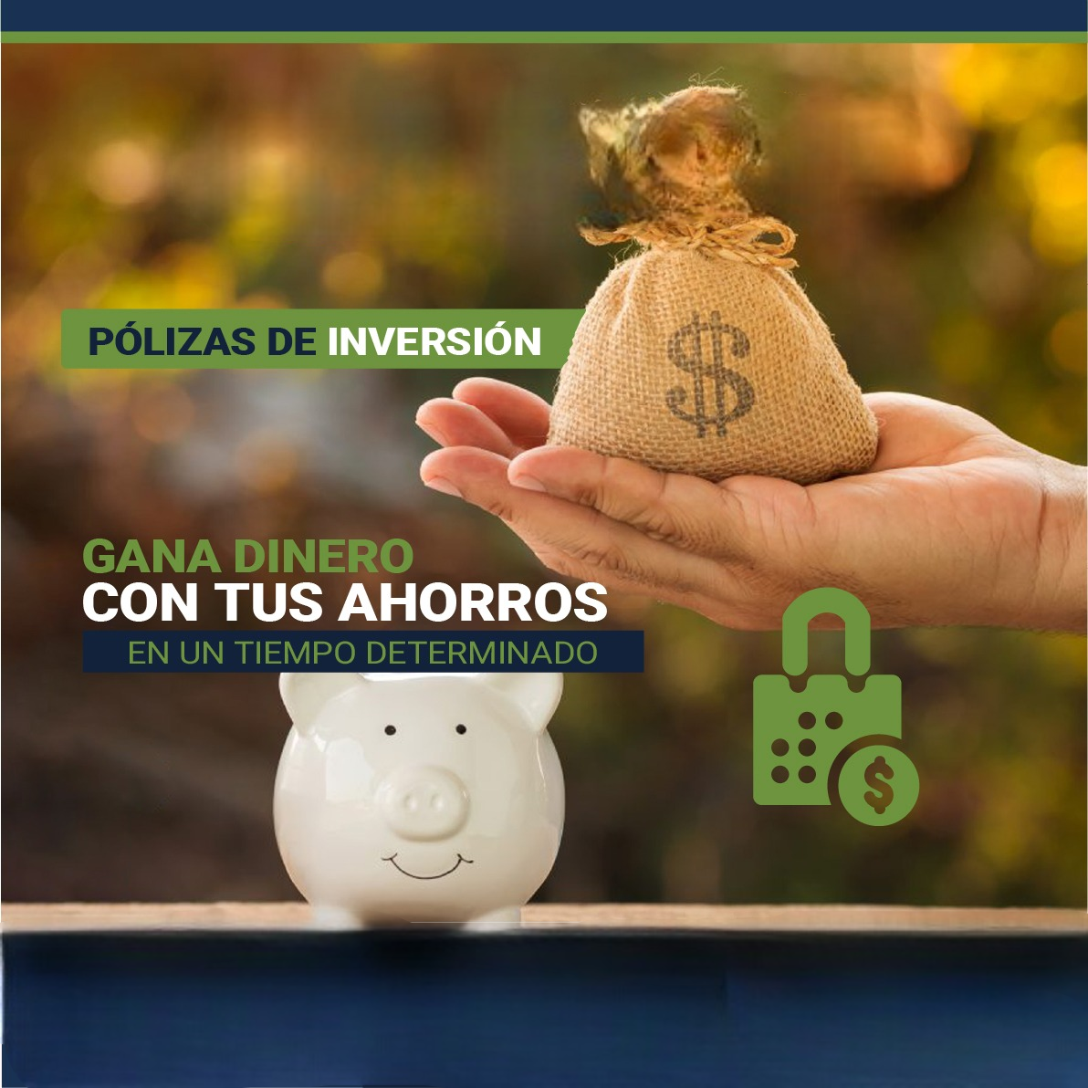 Imagen de WhatsApp 2025-02-06 a las 12.28.49_a66d2ecc-Photoroom